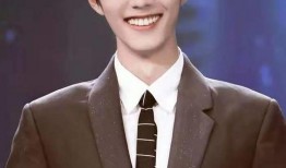 肖战代言人最新爆料,揭秘神秘爆料背后的精彩故事